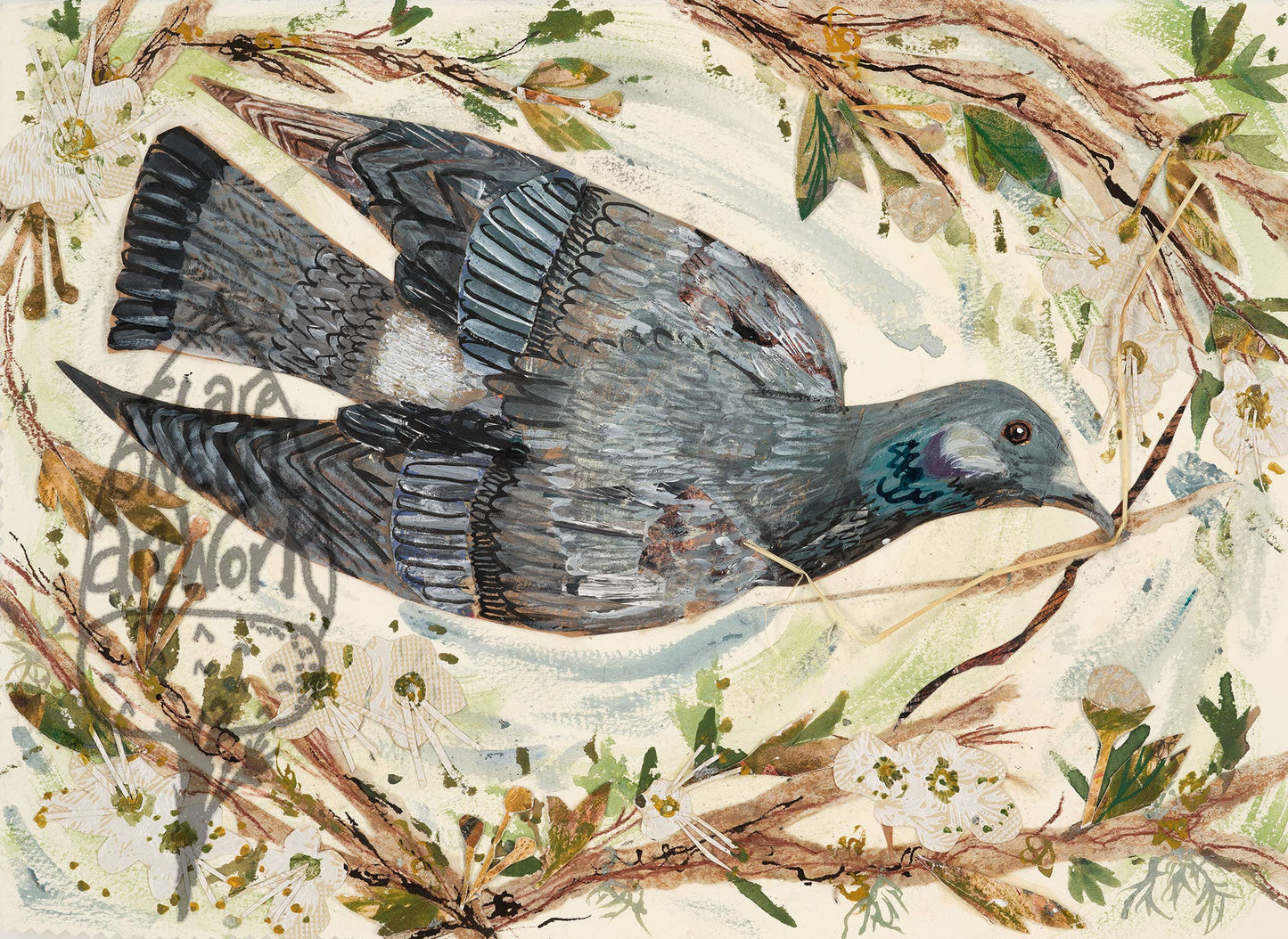A5 Pigeon in the blossom greeting card