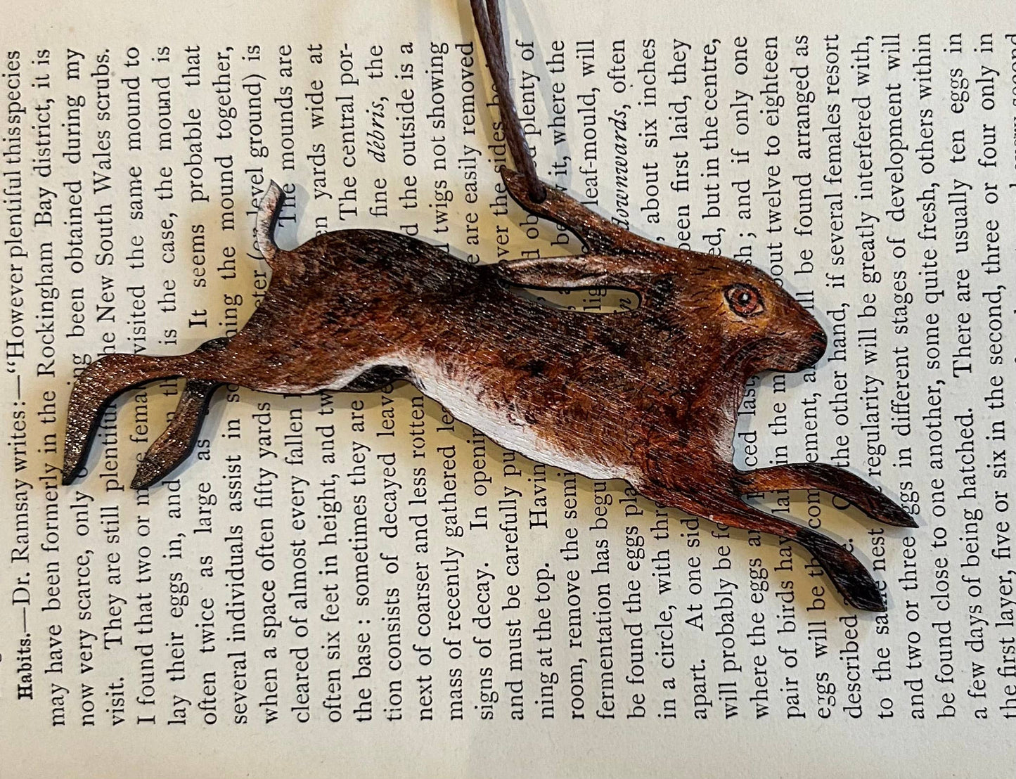Spring Hare birch plywood decoration