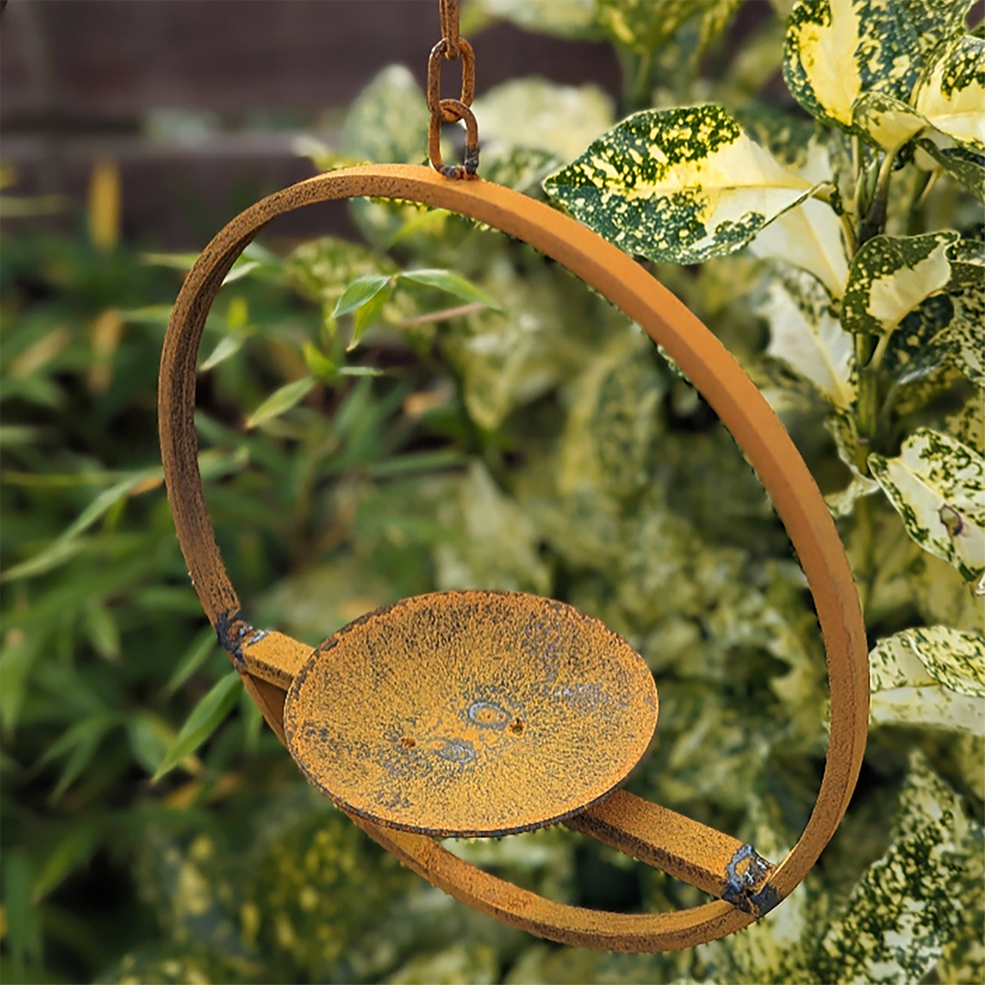 Hanging Bird Feeder Platform Ring