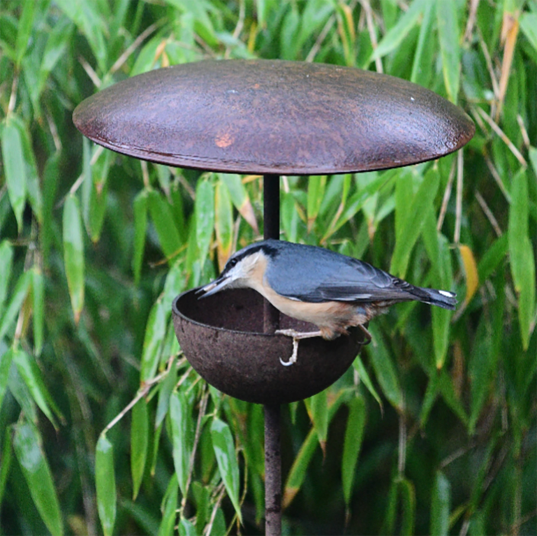 Bird Feeding Station