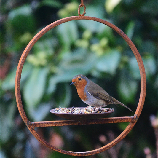 Hanging Bird Feeder Platform Ring