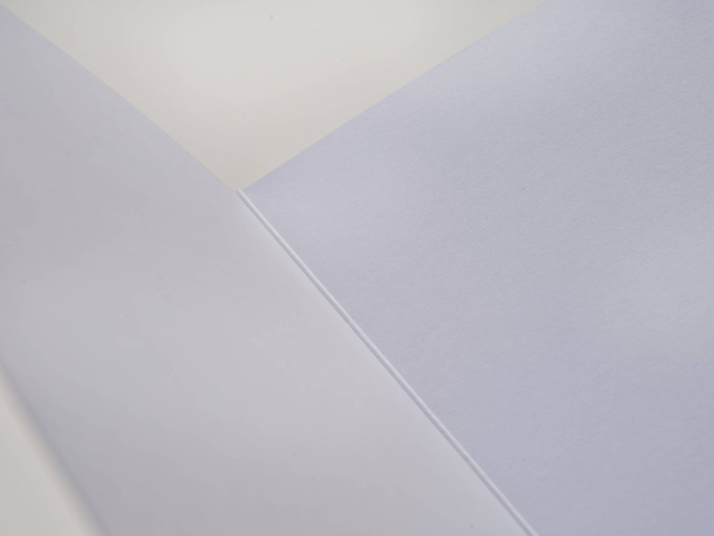 A5 Pigeon in the blossom greeting card