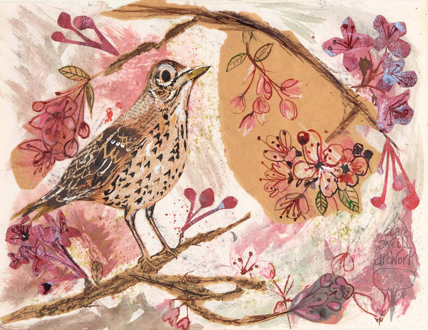 A5 Song Thrush greeting card.