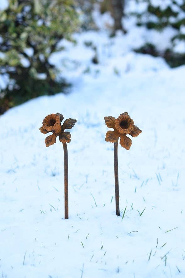 Daffodil Garden Sculpture - Rusty Metal Flower For Garden